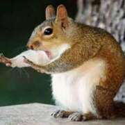 ヒメ日記 2025/07/17 08:52 投稿 森本 MadameRest(マダムレスト)