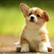 ヒメ日記 2025/07/27 07:52 投稿 森本 MadameRest(マダムレスト)