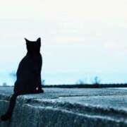 ヒメ日記 2025/07/31 10:15 投稿 森本 MadameRest(マダムレスト)