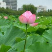 ヒメ日記 2025/08/01 13:53 投稿 森本 MadameRest(マダムレスト)