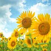 ヒメ日記 2025/08/05 07:52 投稿 森本 MadameRest(マダムレスト)