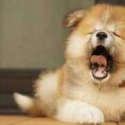 ヒメ日記 2025/08/05 16:12 投稿 森本 MadameRest(マダムレスト)