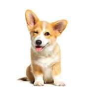 ヒメ日記 2025/08/06 01:24 投稿 森本 MadameRest(マダムレスト)