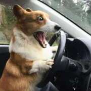 ヒメ日記 2025/08/07 13:15 投稿 森本 MadameRest(マダムレスト)