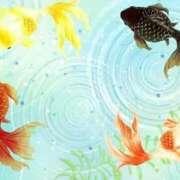 ヒメ日記 2025/08/08 07:24 投稿 森本 MadameRest(マダムレスト)