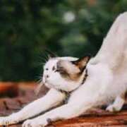 ヒメ日記 2025/08/09 08:15 投稿 森本 MadameRest(マダムレスト)