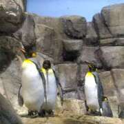 ヒメ日記 2025/08/14 11:15 投稿 森本 MadameRest(マダムレスト)