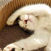 ヒメ日記 2025/08/15 08:32 投稿 森本 MadameRest(マダムレスト)