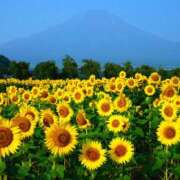 ヒメ日記 2025/08/18 08:58 投稿 森本 MadameRest(マダムレスト)