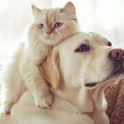 ヒメ日記 2025/08/25 07:52 投稿 森本 MadameRest(マダムレスト)