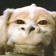 ヒメ日記 2025/08/26 07:52 投稿 森本 MadameRest(マダムレスト)