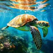 ヒメ日記 2025/08/30 22:52 投稿 森本 MadameRest(マダムレスト)