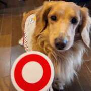 ヒメ日記 2025/09/02 19:52 投稿 森本 MadameRest(マダムレスト)