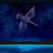 ヒメ日記 2025/09/04 14:05 投稿 森本 MadameRest(マダムレスト)