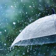 ヒメ日記 2025/09/05 08:52 投稿 森本 MadameRest(マダムレスト)