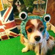 ヒメ日記 2025/09/05 12:32 投稿 森本 MadameRest(マダムレスト)