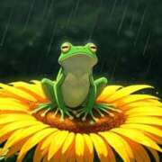 ヒメ日記 2025/09/05 18:55 投稿 森本 MadameRest(マダムレスト)