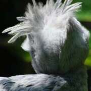 ヒメ日記 2025/09/06 11:32 投稿 森本 MadameRest(マダムレスト)