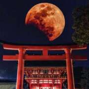 ヒメ日記 2025/09/08 03:15 投稿 森本 MadameRest(マダムレスト)