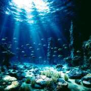 ヒメ日記 2025/09/10 01:15 投稿 森本 MadameRest(マダムレスト)