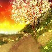 ヒメ日記 2025/09/13 23:45 投稿 森本 MadameRest(マダムレスト)