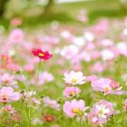 ヒメ日記 2025/09/14 16:57 投稿 森本 MadameRest(マダムレスト)