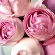 ヒメ日記 2025/09/15 14:41 投稿 森本 MadameRest(マダムレスト)