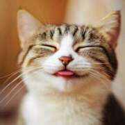 ヒメ日記 2025/09/16 07:15 投稿 森本 MadameRest(マダムレスト)