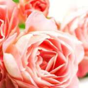 ヒメ日記 2025/09/18 12:15 投稿 森本 MadameRest(マダムレスト)