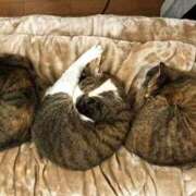 ヒメ日記 2025/09/19 03:00 投稿 森本 MadameRest(マダムレスト)