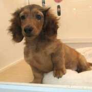 ヒメ日記 2025/09/19 18:32 投稿 森本 MadameRest(マダムレスト)