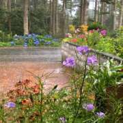 ヒメ日記 2025/09/20 17:24 投稿 森本 MadameRest(マダムレスト)