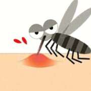 ヒメ日記 2025/09/21 14:31 投稿 森本 MadameRest(マダムレスト)