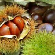 ヒメ日記 2025/09/21 16:33 投稿 森本 MadameRest(マダムレスト)