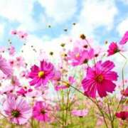 ヒメ日記 2025/09/22 10:52 投稿 森本 MadameRest(マダムレスト)