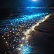 ヒメ日記 2025/09/24 01:15 投稿 森本 MadameRest(マダムレスト)