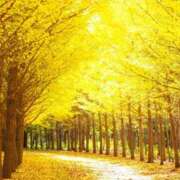 ヒメ日記 2025/09/24 14:00 投稿 森本 MadameRest(マダムレスト)