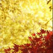 ヒメ日記 2025/09/25 10:41 投稿 森本 MadameRest(マダムレスト)