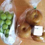 ヒメ日記 2025/09/27 16:32 投稿 森本 MadameRest(マダムレスト)