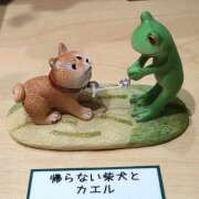 ヒメ日記 2025/09/29 16:24 投稿 森本 MadameRest(マダムレスト)