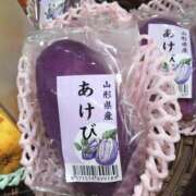 ヒメ日記 2025/09/29 17:31 投稿 森本 MadameRest(マダムレスト)