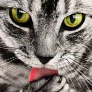 ヒメ日記 2025/09/30 16:15 投稿 森本 MadameRest(マダムレスト)