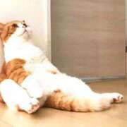 ヒメ日記 2025/10/01 01:52 投稿 森本 MadameRest(マダムレスト)