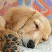 ヒメ日記 2025/10/02 08:16 投稿 森本 MadameRest(マダムレスト)