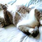 ヒメ日記 2025/10/02 13:52 投稿 森本 MadameRest(マダムレスト)