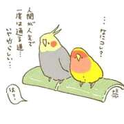 ヒメ日記 2025/10/02 19:15 投稿 森本 MadameRest(マダムレスト)