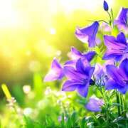 ヒメ日記 2025/10/03 06:52 投稿 森本 MadameRest(マダムレスト)