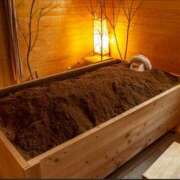 ヒメ日記 2025/10/03 12:45 投稿 森本 MadameRest(マダムレスト)