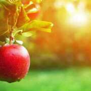 ヒメ日記 2025/10/04 07:31 投稿 森本 MadameRest(マダムレスト)