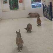 ヒメ日記 2025/10/05 20:32 投稿 森本 MadameRest(マダムレスト)